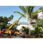 25 Ton Truck Crane Qy25K5d Hot Sale New - Image 5