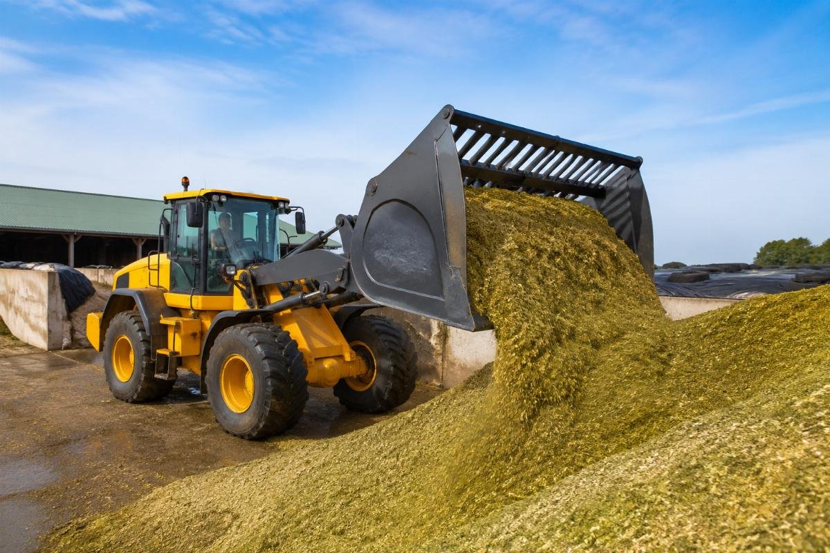 Specialized bucket for silage handling on farm Silage transfer operation using a dedicated agricultural loader bucket